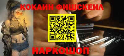 тгк Кингисепп