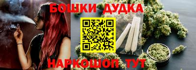 тгк Кингисепп