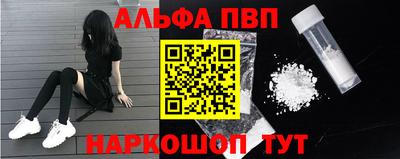 тгк Кингисепп
