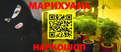 тгк Кингисепп