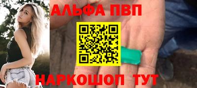 тгк Кингисепп