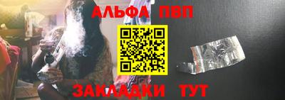 тгк Кингисепп