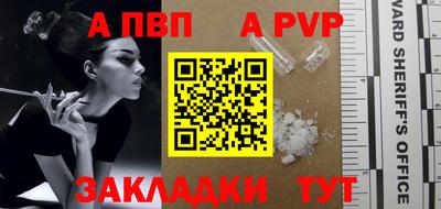 тгк Кингисепп