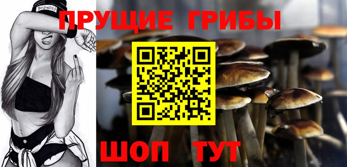 Галлюциногенные грибы ЛСД  Вход с VPN  Киржач  где купить наркоту  Галлюциногенные грибы Psilocybe 