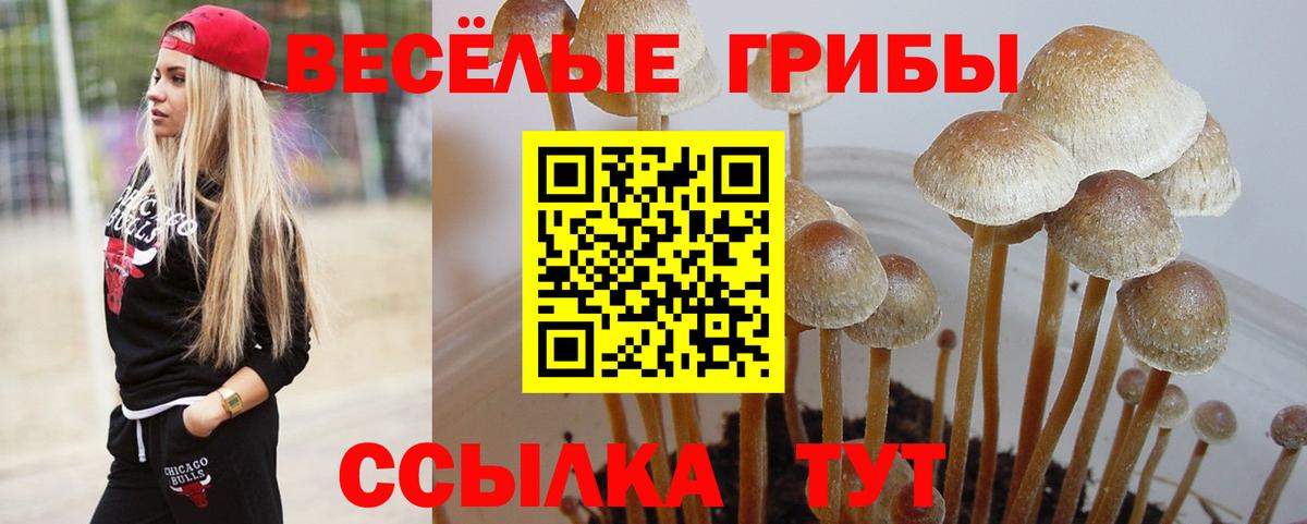 Галлюциногенные грибы прущие грибы  Киржач 